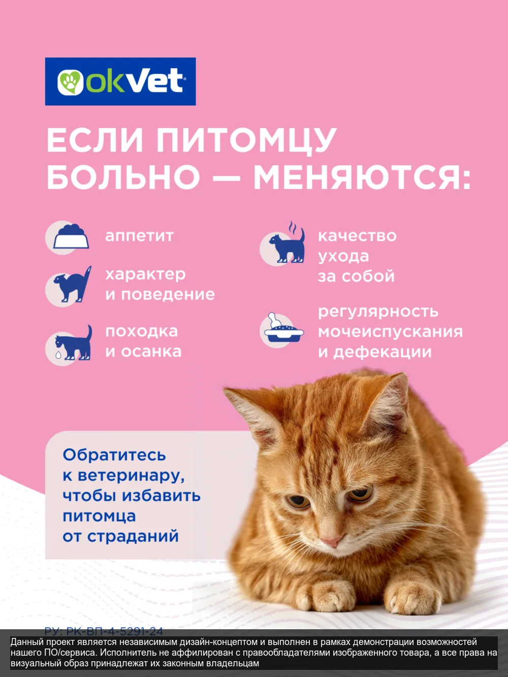 Roxior — слайд 2