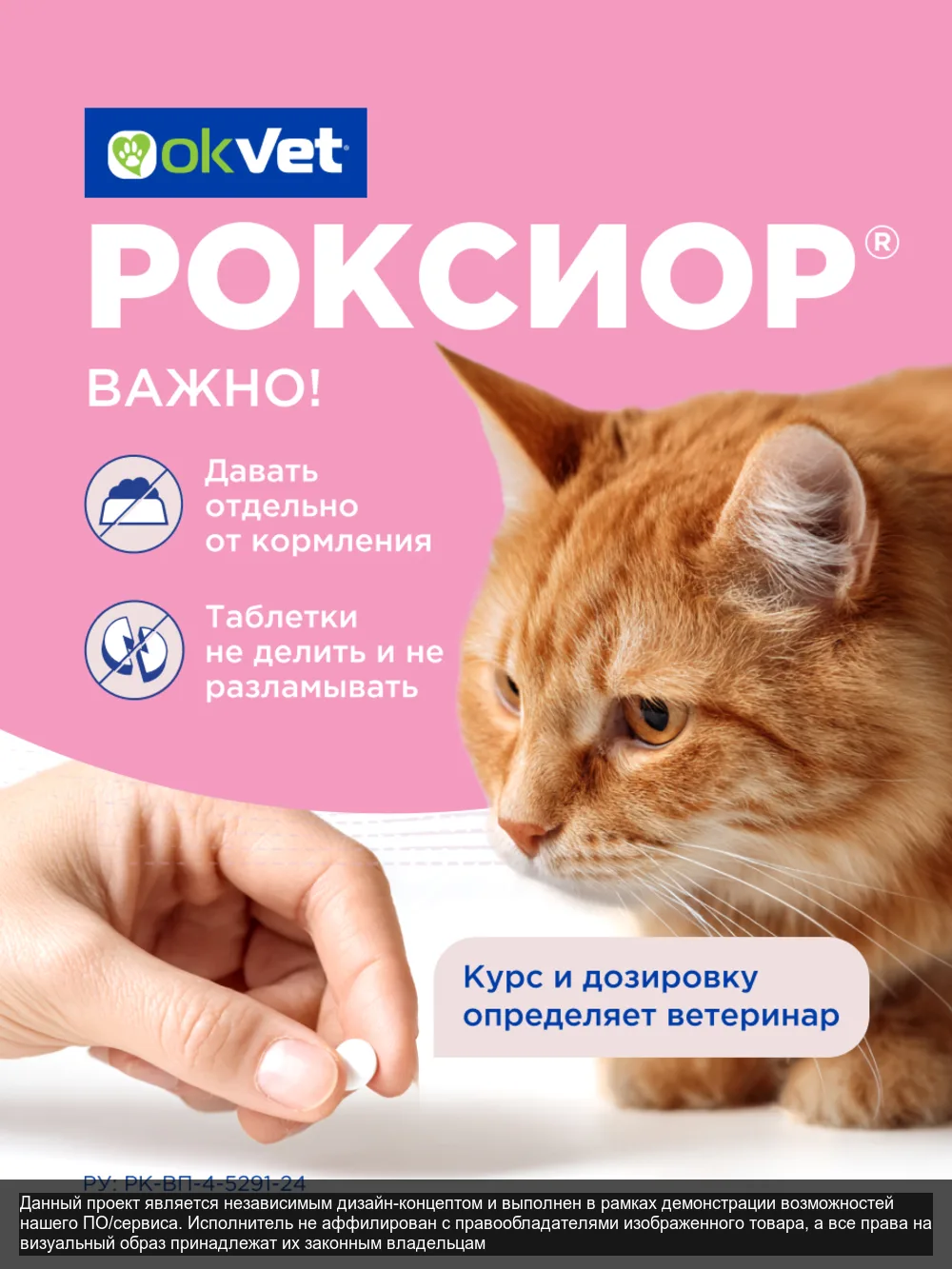 Roxior — слайд 6