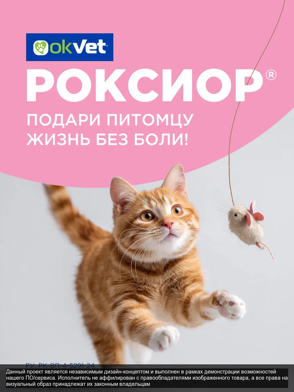 Roxior — слайд 8